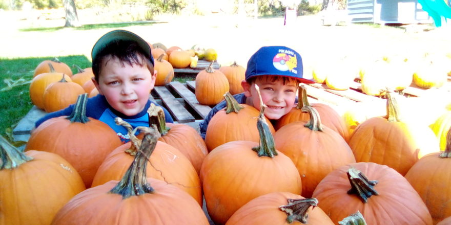Oliver and Justin in the pumpkin patch.