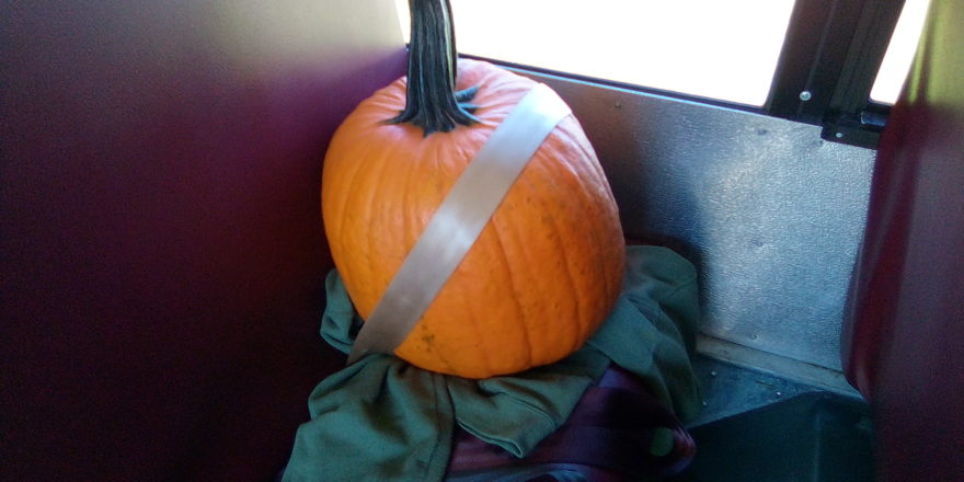 Reggie's pumpkin setting a good example for all the others on the bus ride home and wearing his seat belt.