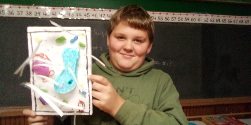 Reggie makes a plant cell structure out of foam.