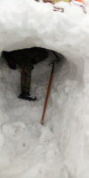 Reggie digging out the entrance to the igloo.