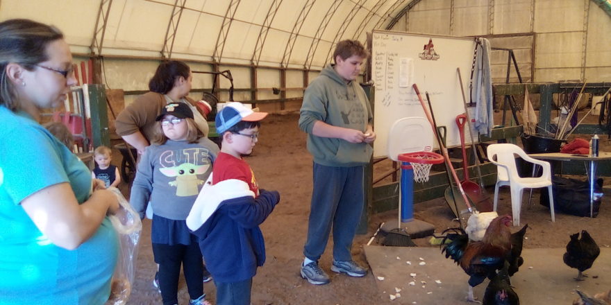 the elm river school kids feeding chickens at the critter ranch.