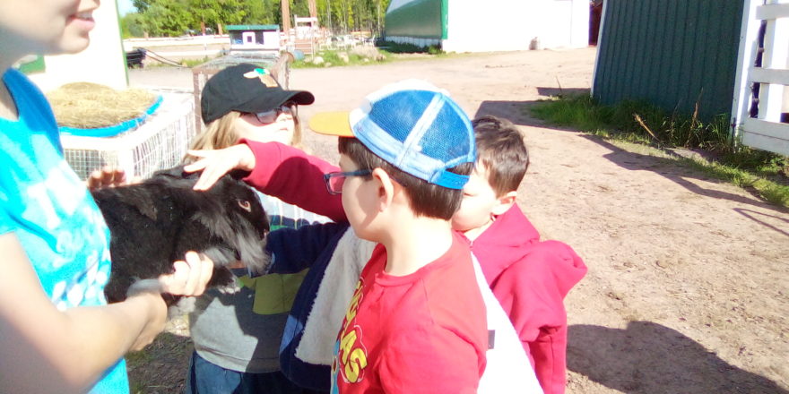 Olivia, Justin, Oliver petting a bunny at the critter ranch.