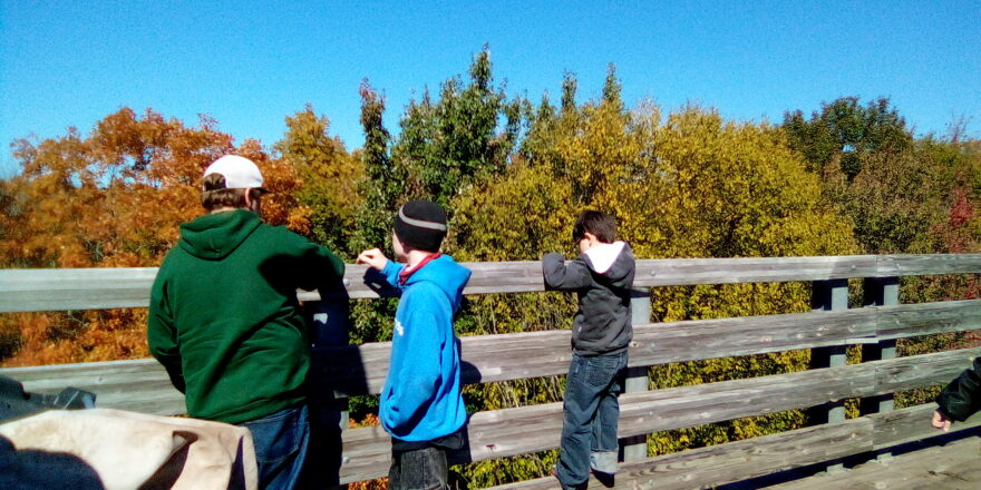 Reggie, Justin and Oliver looking over the side of the trestle bridge.