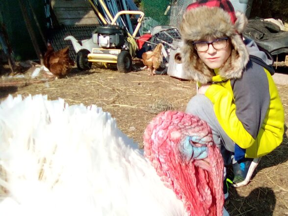 Avery and the turkey have a stare down.