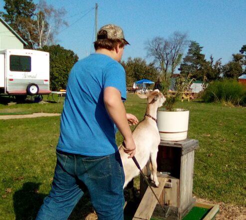 Reggie and his goat golf partner.