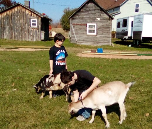 Justin and Jacob petting goats at the Hulkkonen Farm.