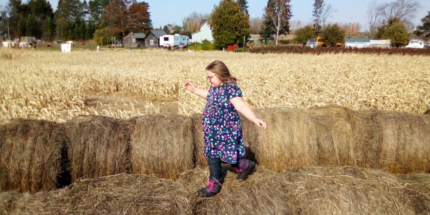 Olivia walking on tip of the hay maze at the Hulkkonen Farm.