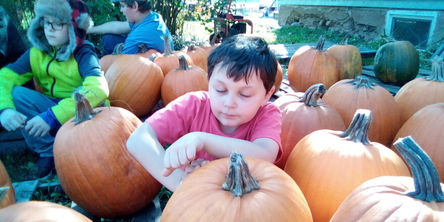 Oliver sitting among the pumpkins and resting his tired eyes.