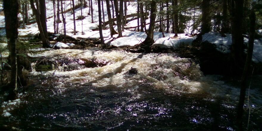 Wyandotte water falls spring 2023 rapids.