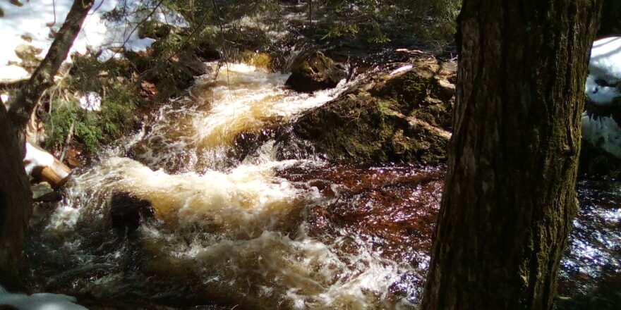 Wyandotte water falls rapids at the top side in early spring 2023.