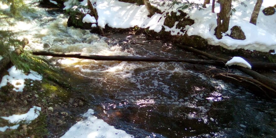 Wyandotte falls river rapids with small log across it. Elm River school kids 2023 spring field trip.