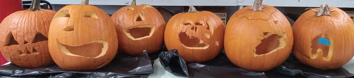 The finished pumpkins carved and on the art table ready for them to take home.