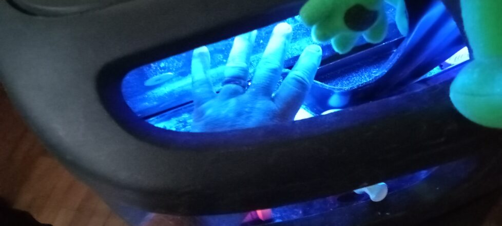 Black light machine to show us where our germs are hiding on our hands.